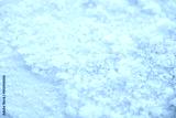 preview cold