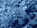 preview cold