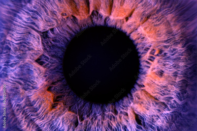 image to crop