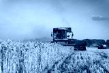 preview cold
