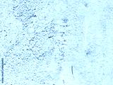 preview cold