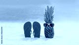 preview cold