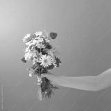 preview bw