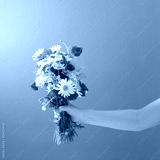 preview cold