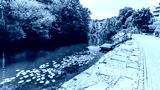 preview cold