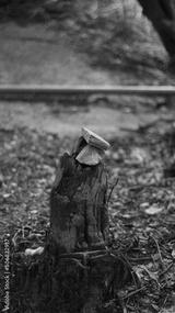 preview bw