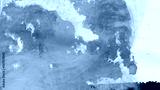 preview cold