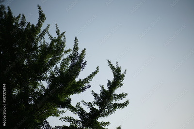 image to crop