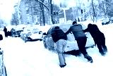 preview cold