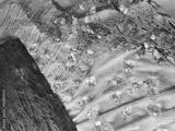 preview bw