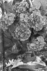 preview bw
