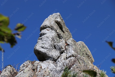 image to crop