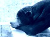 preview cold