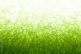 preview original