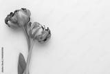 preview bw