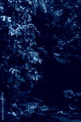 preview cold
