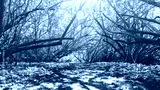 preview cold