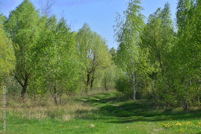 image to crop