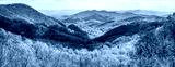 preview cold