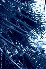 preview cold