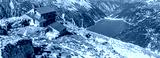 preview cold