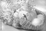 preview bw