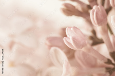 image to crop