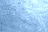 preview cold