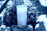 preview cold