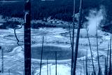 preview cold