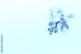 preview cold