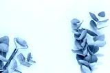 preview cold