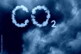 preview cold