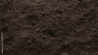 image to crop