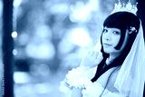 preview cold