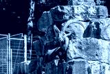 preview cold