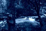 preview cold