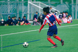 preview original