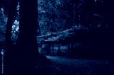preview cold