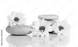 preview bw