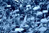preview cold