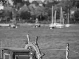 preview bw