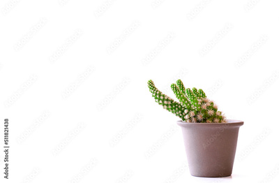 image to crop
