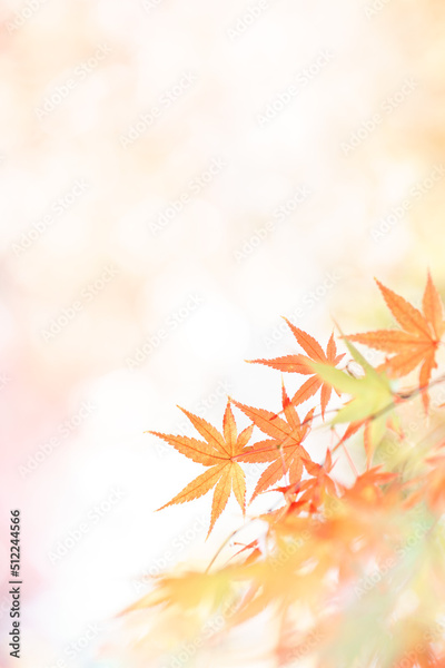 image to crop