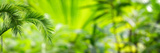 preview original