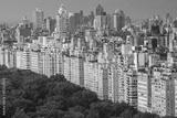 preview bw
