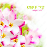 preview original