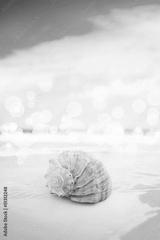 preview bw