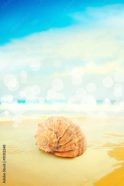 image to crop