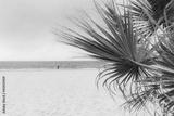 preview bw